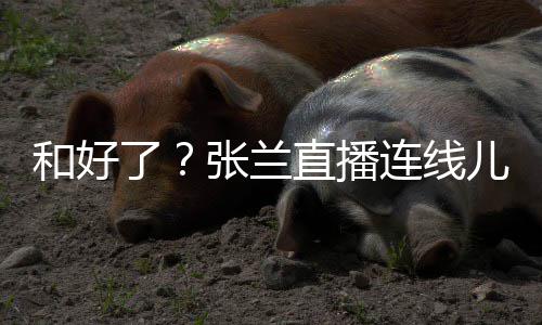 怒太重儿媳友疑和好了连线大S怼网张兰直播心病